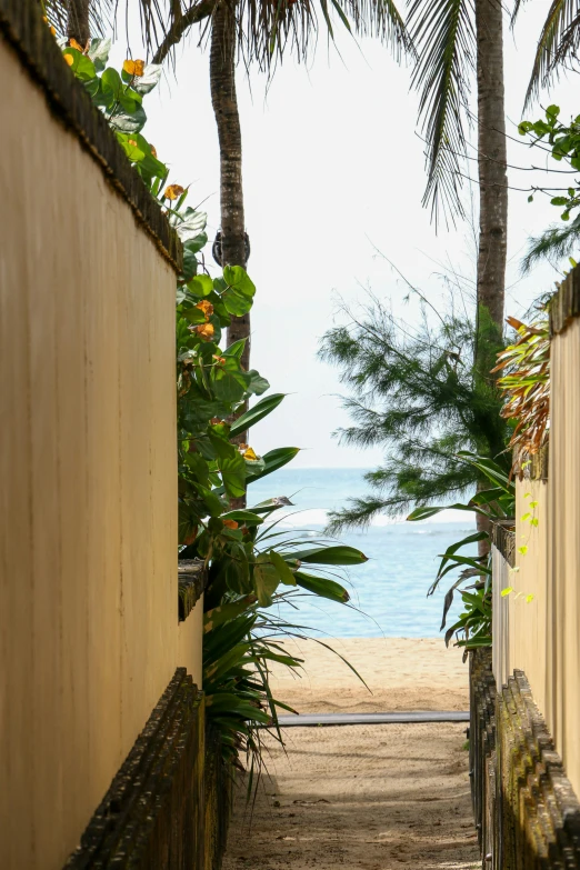 the sun is shining on a tropical beach, with a gated walkway