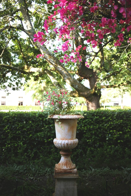 a flower planter is shown next to a tree