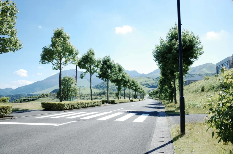 a empty empty street with trees and bushes lining the median