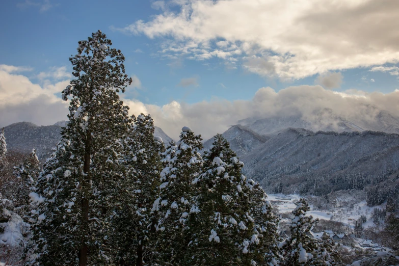 the view of mountains and trees in winter