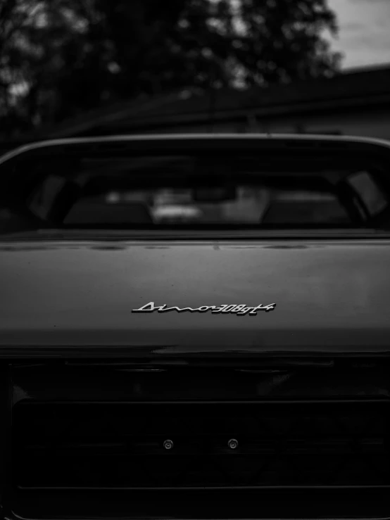 black and white pograph of the emblem on a sports car