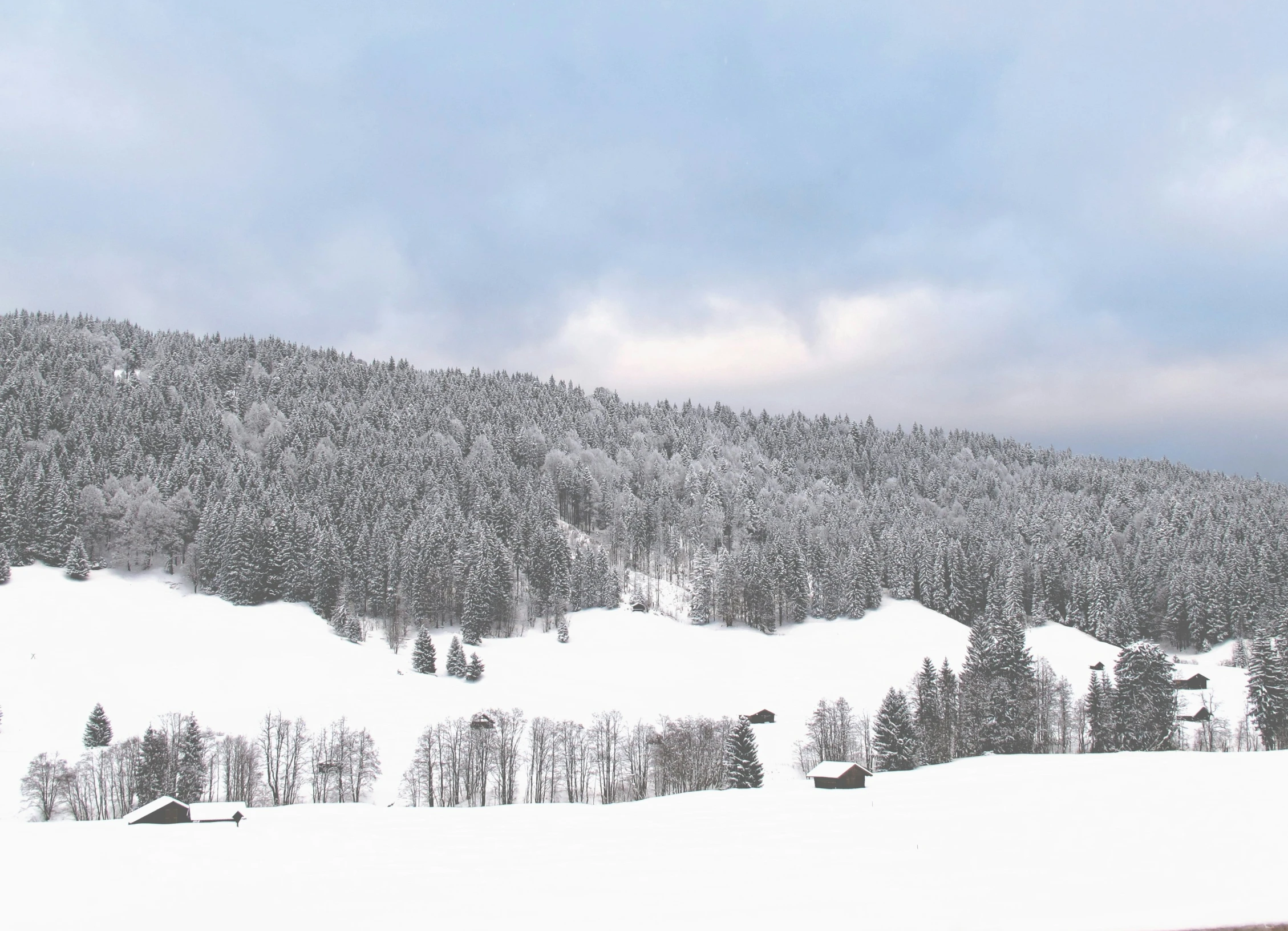 a mountain covered in snow, with pine trees around it