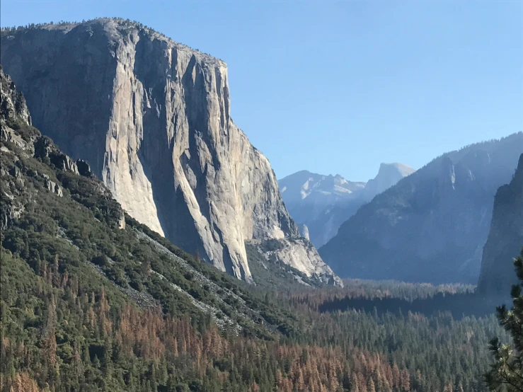 the trees have grown in this area with huge mountains in the background