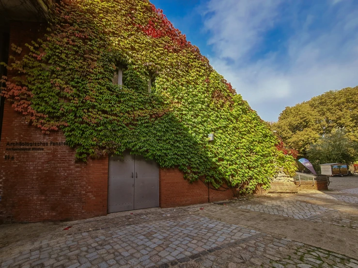 a long brick building with a giant green vine