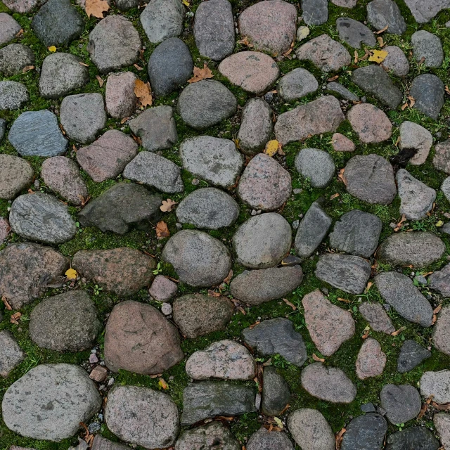 cobblestones set into a green lawn