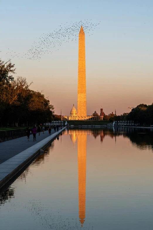 birds flying by a washington monument on the reflecting water