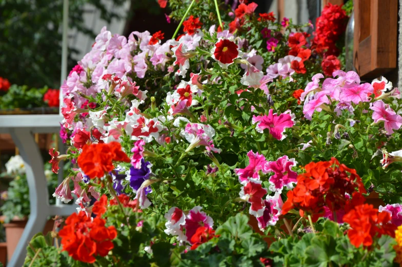 a flower pot full of flowers outside of a house