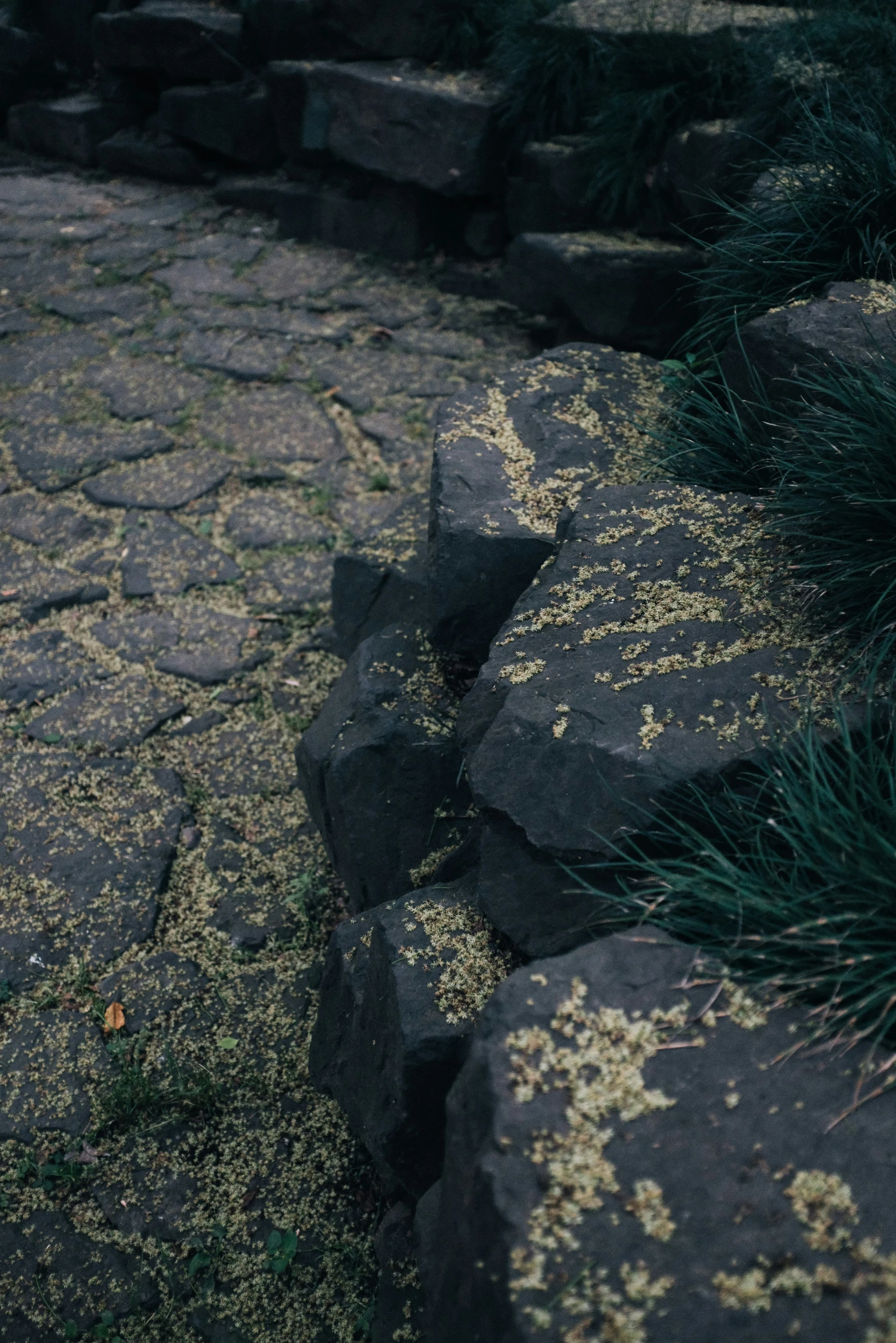 a white bird standing on top of rock formations