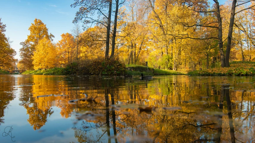 the autumn color is reflecting in the water