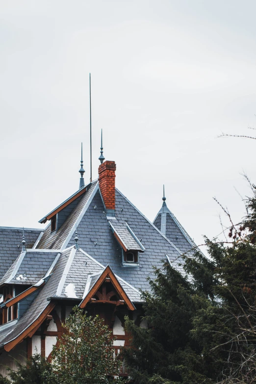 a house with many chimneys and dormers is shown