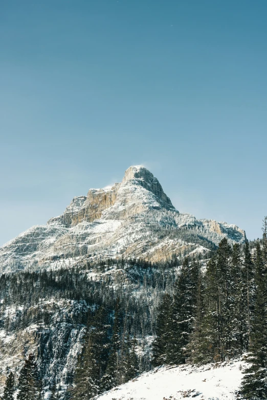 a person skiing down a mountain near evergreens