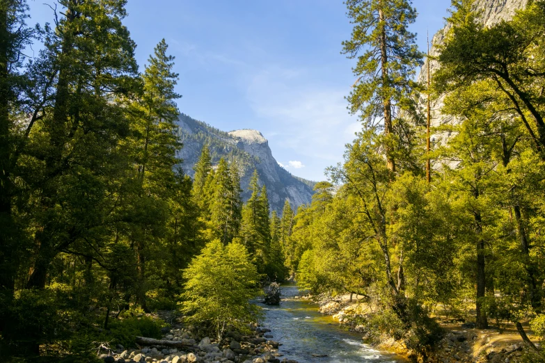 a view of a river running between a forest with mountains in the background