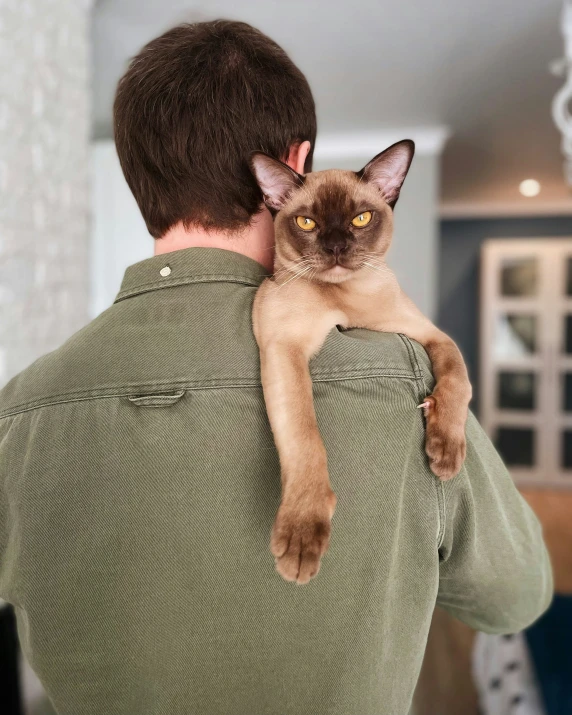 a cat that is in the back of a mans back