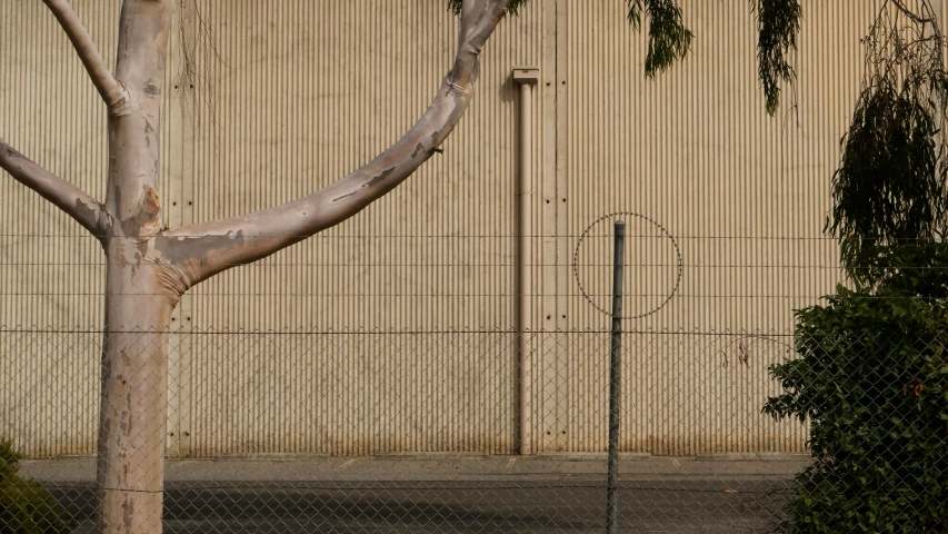 a building with a tree by it near a fence