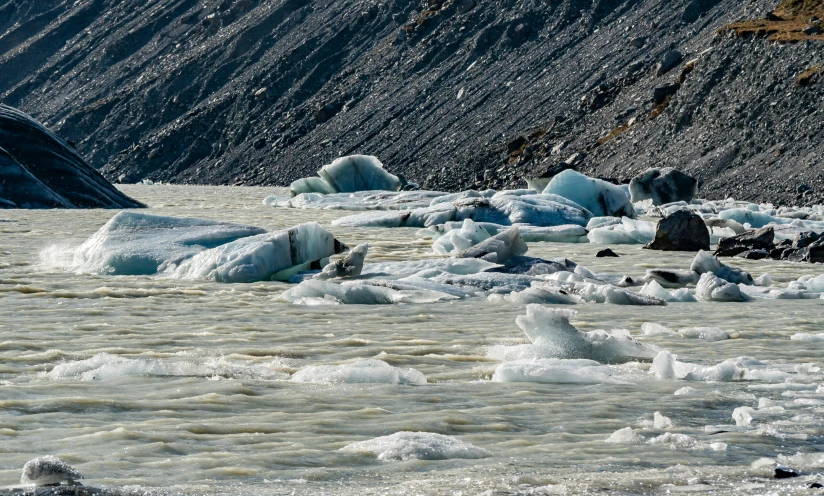 a group of ice flakes floating on the water