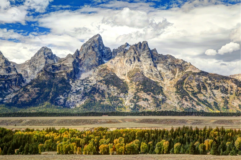 mountains covered with trees and clouds in the foreground