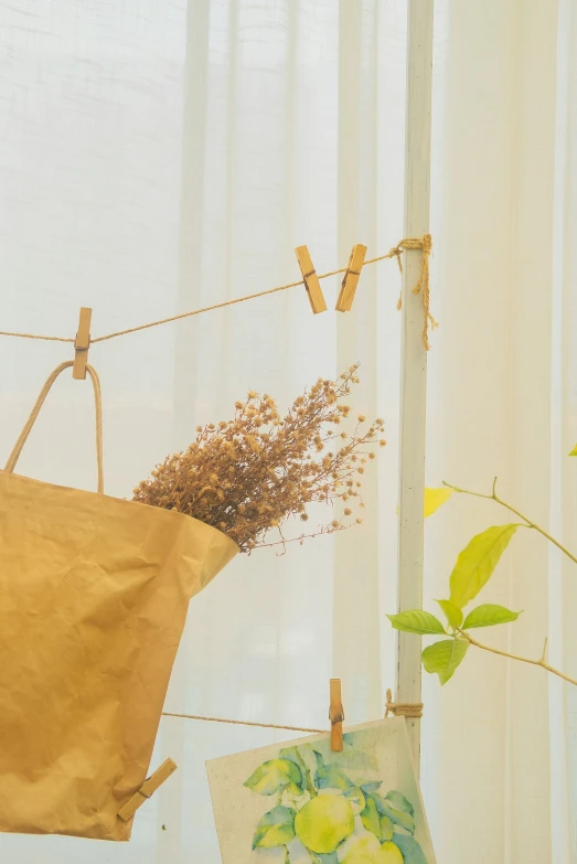 a picture and flower are on clothes line with an easel