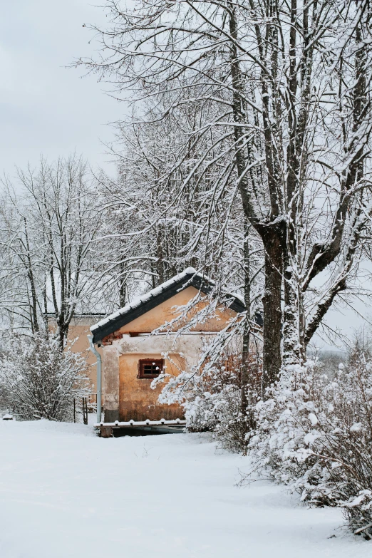 a cabin in the woods covered in snow