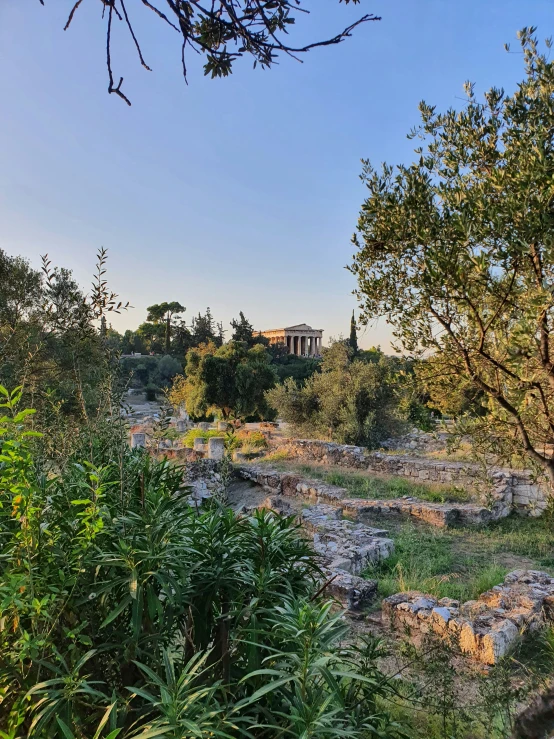 a wooded area with rocks and trees on a sunny day