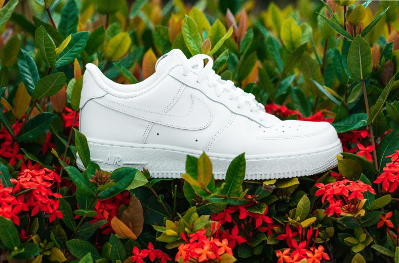 a sneaker sitting in the middle of some flowers