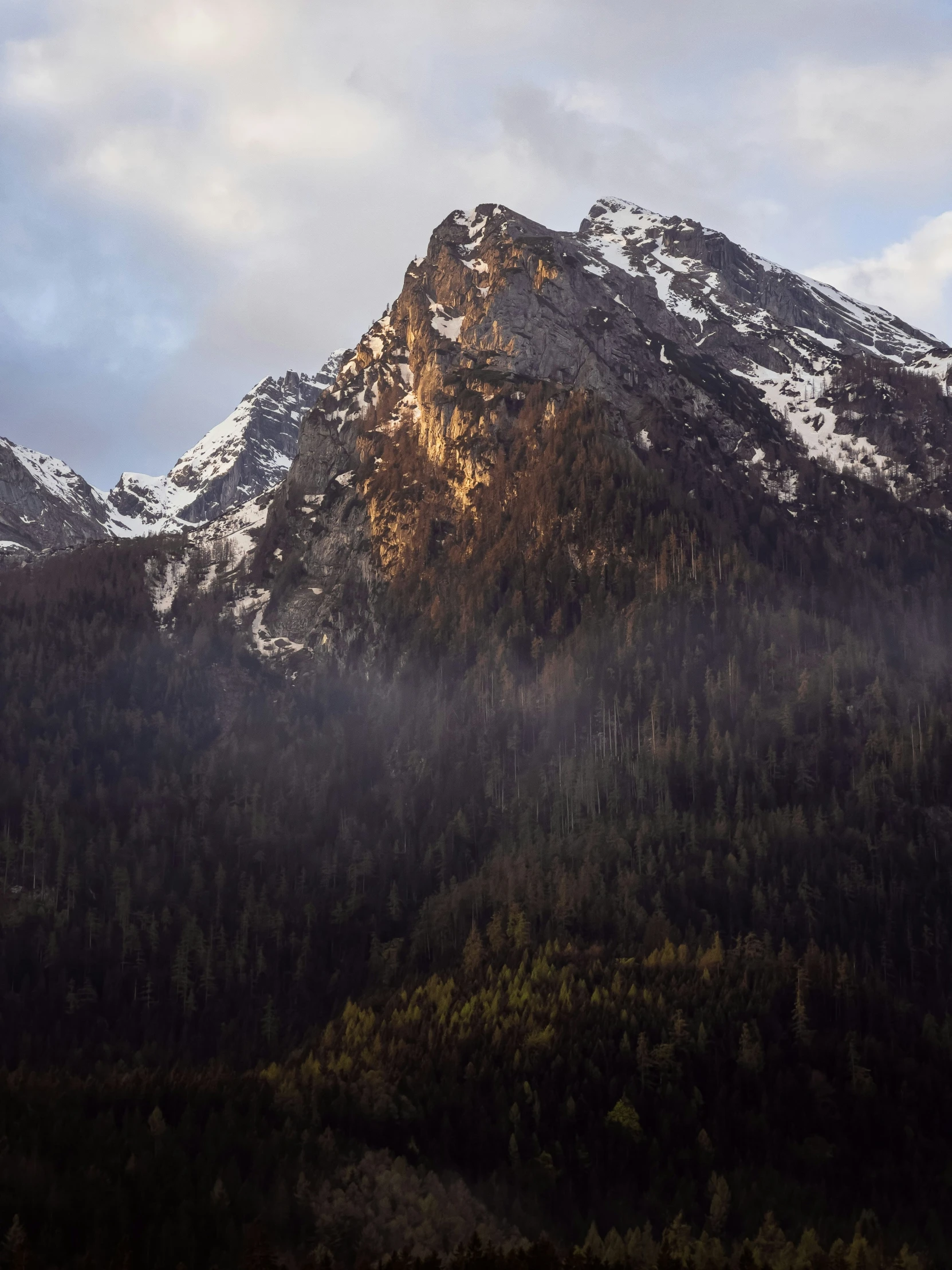 a mountain range with snow on top, surrounded by forest