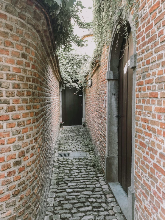 brick pathway and arched windows leading to a doorway