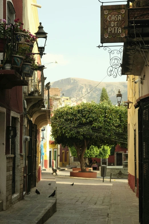 small village street with a bird walking down it