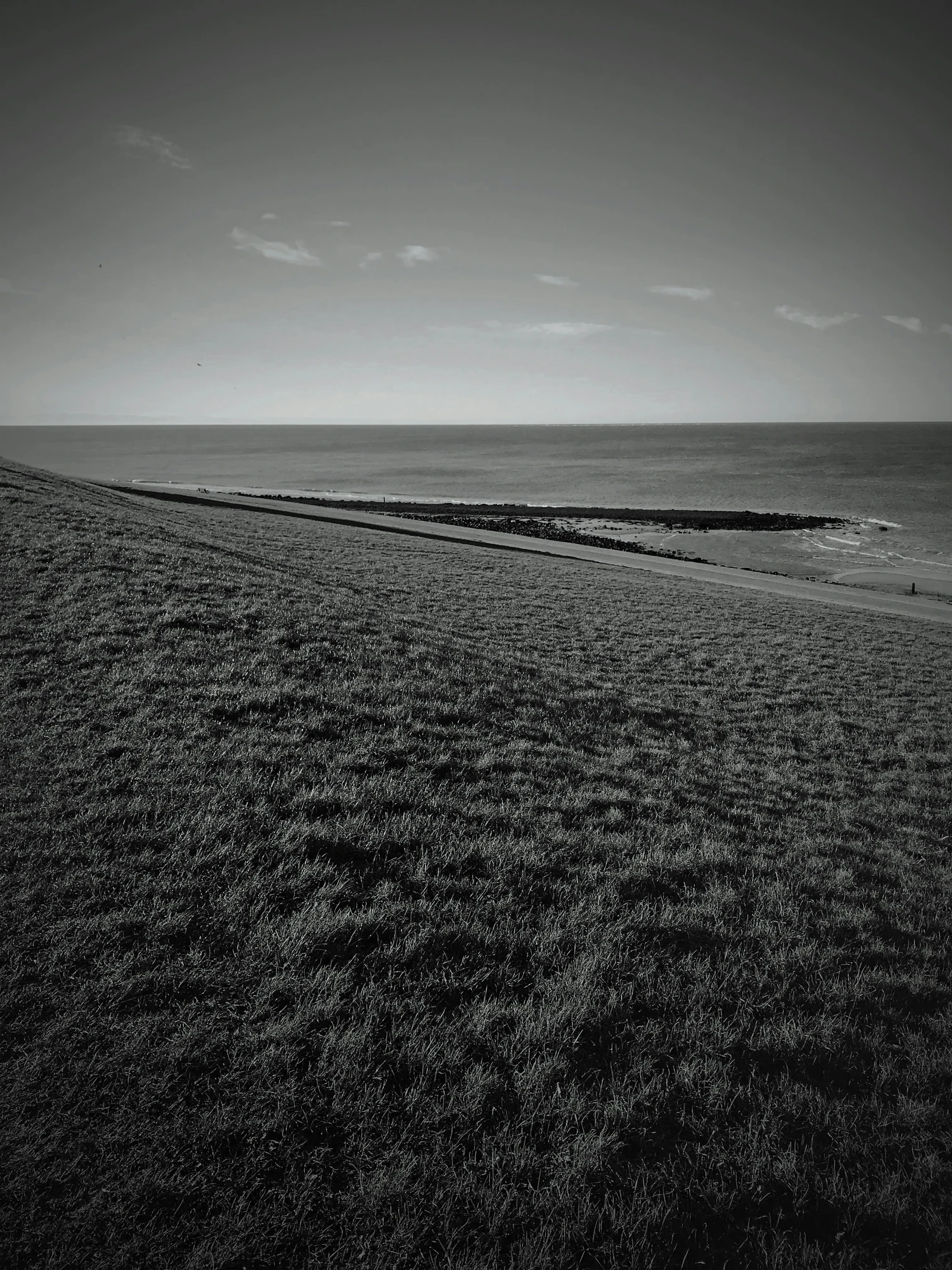 a black and white po with sea in the background