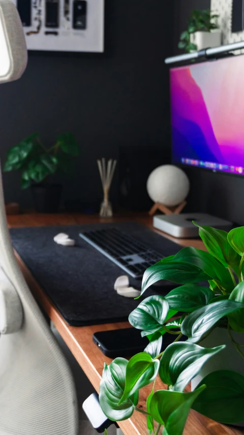 a computer desk with a monitor, keyboard and plants