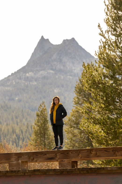 a woman stands on a fence with trees and mountains in the background