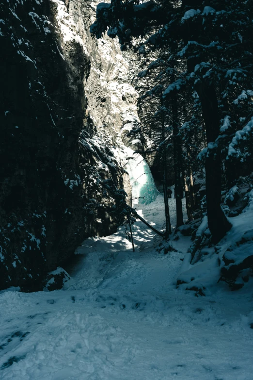 the shadow of a tree line shows how deep snow can go