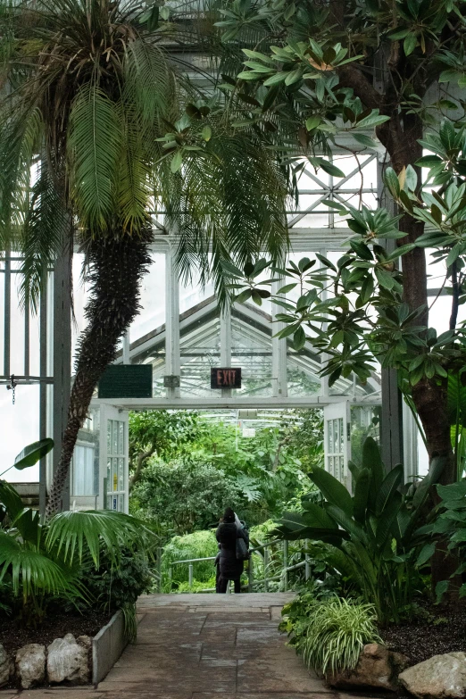 the view of the inside of a glass house, from the walkway,