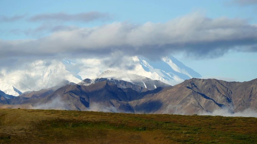 a field with some animals and snow capped mountains in the distance