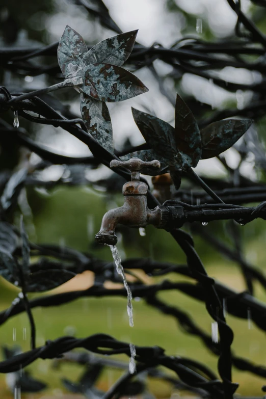 an assortment of water spigots that can be seen outside