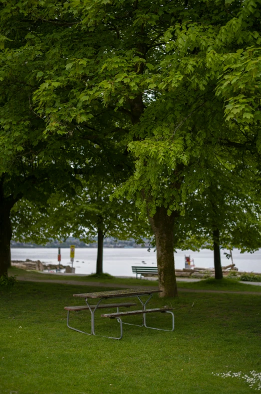 there is a picnic table sitting near the water