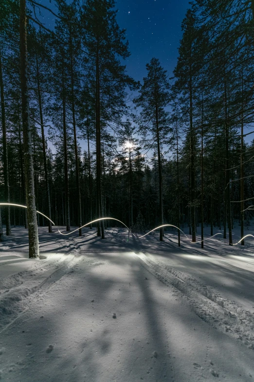 the snow path is leading to the dark woods