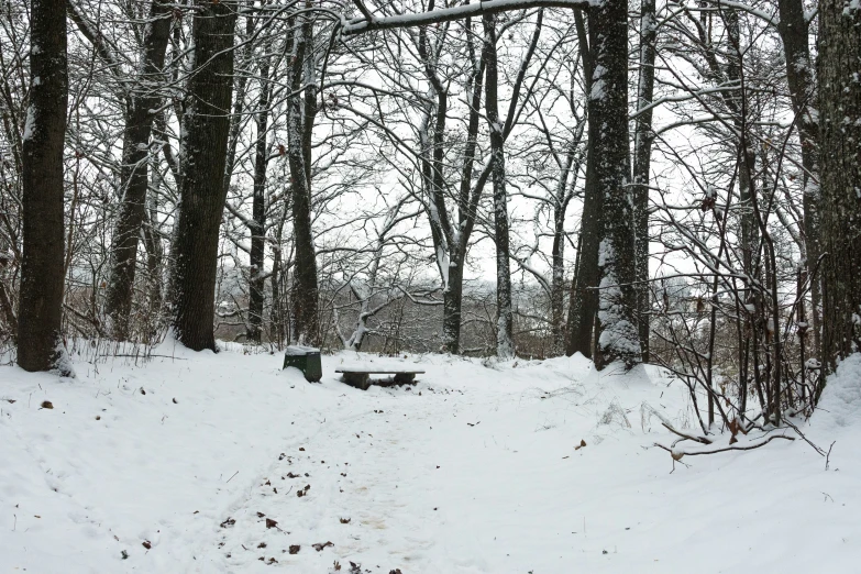 the bench is out on the snowy ground