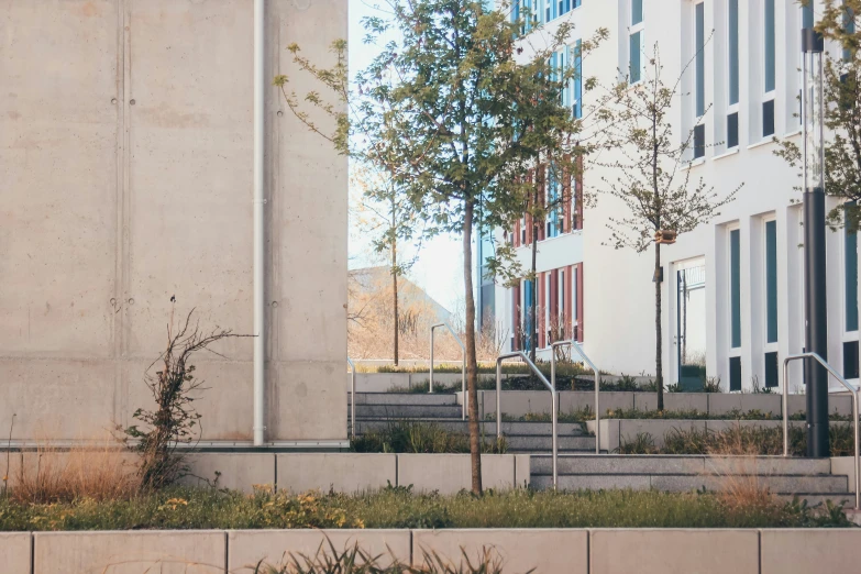 the street view of a sidewalk next to some building