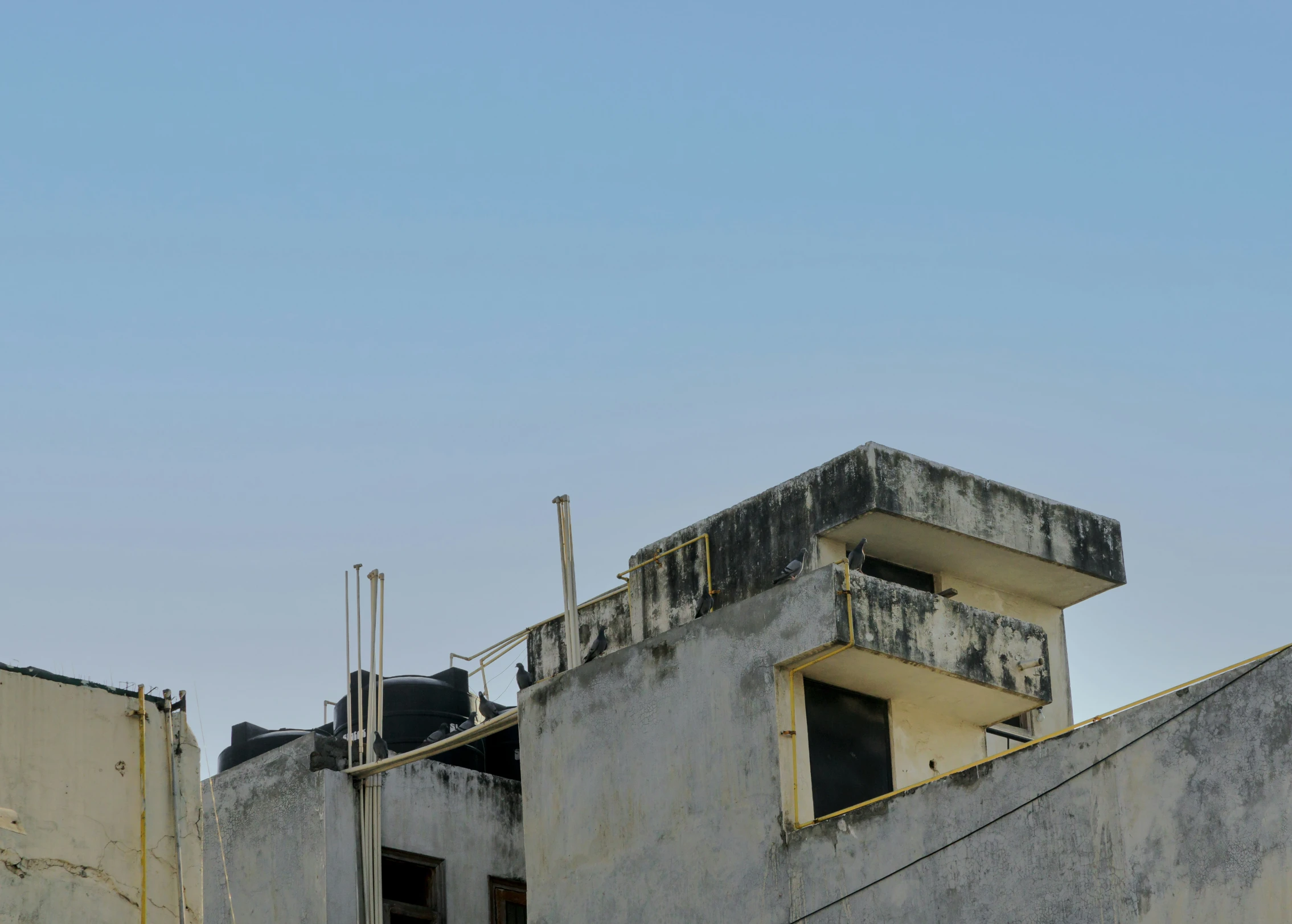 a big building with an alarm clock and a bird flying in the air