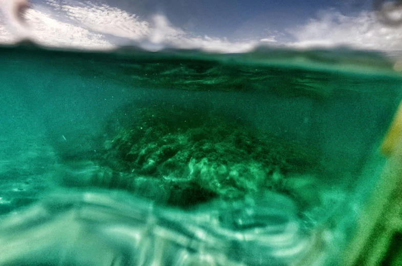 underwater view of blue water with an area that looks like a coral reef