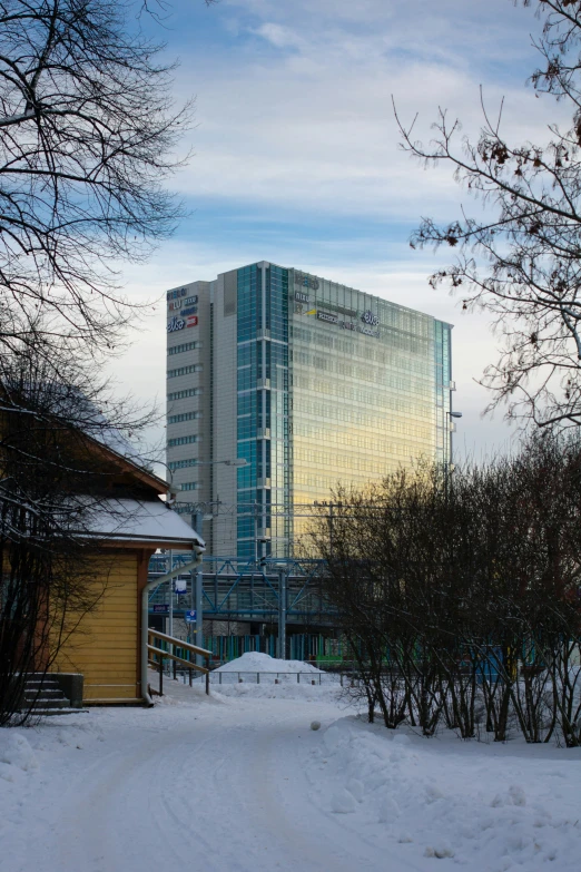 a snowy sidewalk between several bushes and a tall building