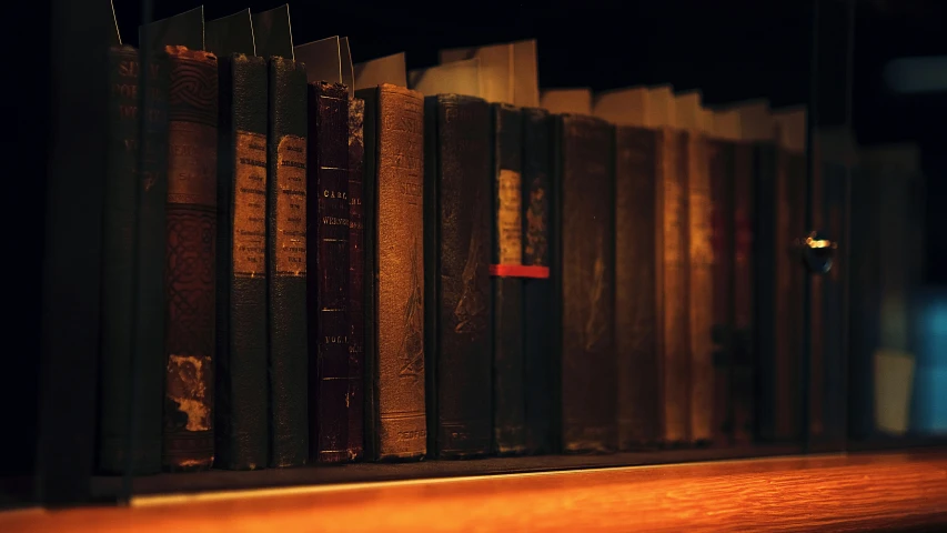 old books are lined up along the wall