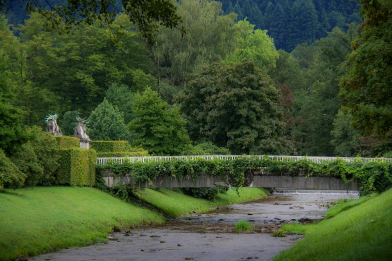 a lush green forest sitting next to a river