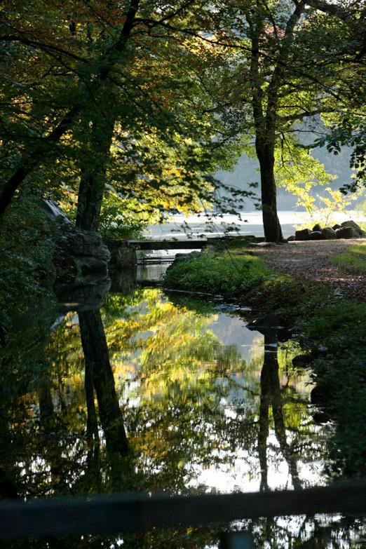 a water source with some trees reflected in it