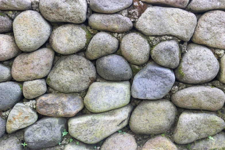 there are some kind of rock wall built inside the ground