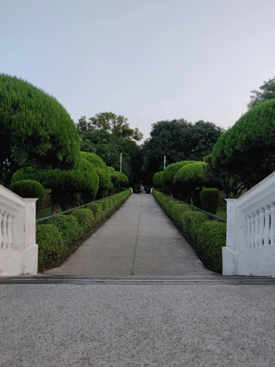 the walkway has a couple white benches at one end and trees lined along the other side