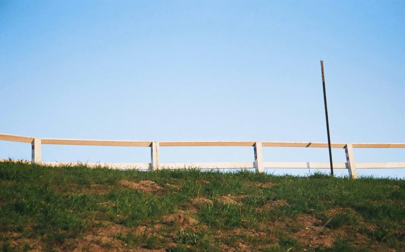 a brown horse grazing near a white fence