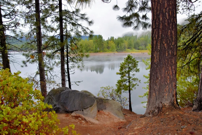 a mountain lake surrounded by trees and a forest