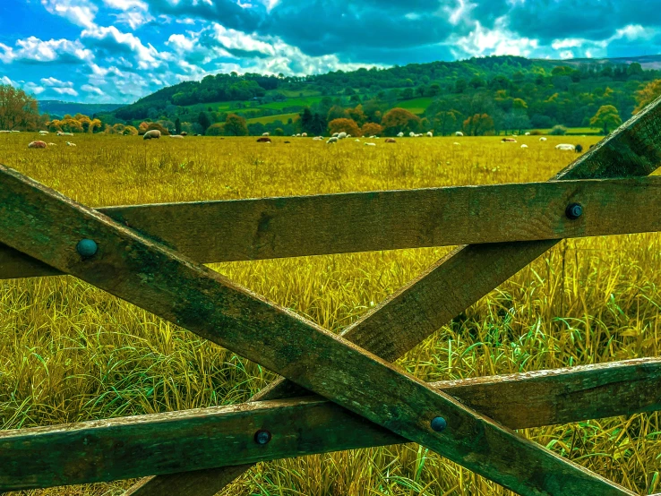 wooden gate leading into a large open field