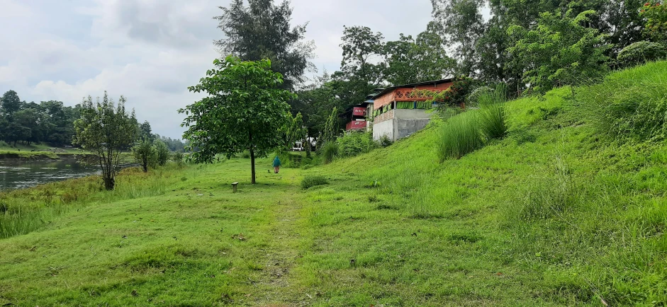 a lush green hillside next to a river